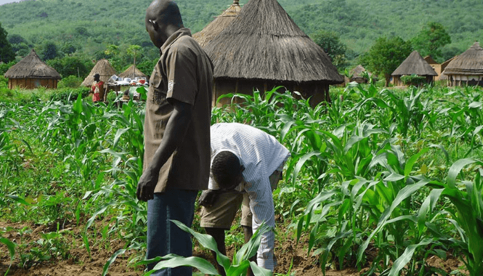 Benue Farmers,